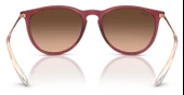 Ray-Ban RB4171 6815A5 54 Kadın Güneş Gözlüğü - 4