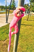 PAGİNA Sevimli Sarılan Sesli Maymun Pembe - 2