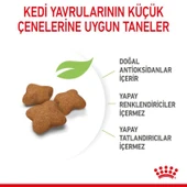 Royal Canin Kitten Sterilised Kısırlaştırılmış Yavru Kedi Maması 2 Kg thumbnail 5