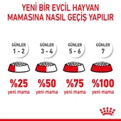 Royal Canin Kitten Sterilised Kısırlaştırılmış Yavru Kedi Maması 2 Kg thumbnail 8
