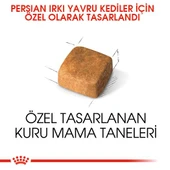 Royal Canin Kitten Persian Yavru Kedi Maması 2 kg - 3