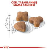 Royal Canin Sensible 33 Kuru Kedi Maması 4 kg - 4