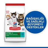 Hill's SCIENCE PLAN Kitten Ton Balıklı Yavru Kedi Maması 5Kg+2Kg Hediye - 2