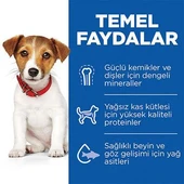 Hill's SCIENCE PLAN Pupy Kuzulu ve Pirinçli Küçük ve Mini Irk Yavru Köpek Maması 1,5Kg - 3