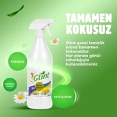 GLİNT 1 Litre %100 Bitkisel Küf Fırın Izgara Temizleyici Yağ Sökücü Çok Amaçlı Yüzey Temizleyici - 1