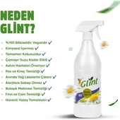 GLİNT 1 Litre %100 Bitkisel Küf Fırın Izgara Temizleyici Yağ Sökücü Çok Amaçlı Yüzey Temizleyici - 4