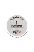 Palette Icc 12-21 Gümüş Sarı 50ml Tr Paket 2li - 4