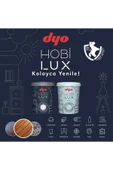 Dyo Hobilux Su Bazlı Saf Akrilik Ipek Mat Boya 0,9 Lt Hobi Boya 0723 Taş Sandık - 2
