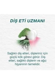 Orecare Bitkisel Diş Macunu Organik - 2