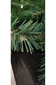OYUNCAK STORE Garland Çam Ağaçı Dalı Süsü - Yeni Yıl Süsü 5 Metre - 8