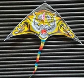 Büyük Boy Kaplan Uçurtma Tiger Kite 160 cmx75 cm Aslan Uçurma-Kuyruk 120 cm 30 mt ip Dahil - 2