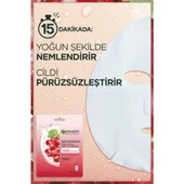Garnier Skin Naturals Hydra Bomb Sheet Maske - 2