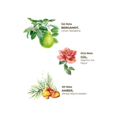 Amber Kolonyası 400 ml - Cam Şişe thumbnail 4