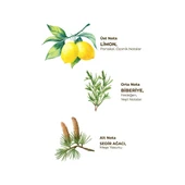 Eyüp Sabri Tuncer Yağmur Ormanları 150 ml Sprey Kolonya - Pet Şişe thumbnail 2