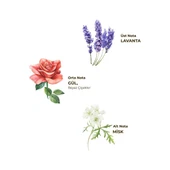 Eyüp Sabri Tuncer Lavanta Kolonyası 400 ml - Pet Şişe thumbnail 4