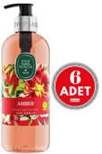 Eyüp Sabri Tuncer Amber Sıvı Sabun 500 ml x 6 Adet thumbnail 1