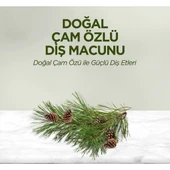 Eyüp Sabri Tuncer Karanfil Özlü Diş Macunu 75 ml - 5