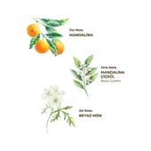 Bodrum Mandalinası Kolonyası 400 ml - Cam Şişe thumbnail 4