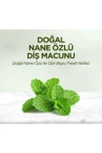Eyüp Sabri Tuncer Karanfil Özlü Diş Macunu 75 ml - 3