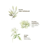 Eyüp Sabri Tuncer Ayvalık Zeytin Çiçeği Kolonyası 400 ml - Pet Şişe thumbnail 4