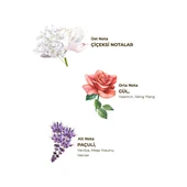 Paris Gecesi Kolonyası 400 ml - Pet Şişe thumbnail 4