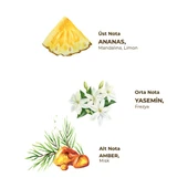 Eyüp Sabri Tuncer Hawaii Ananas 150 ml Sprey Kolonya - Pet Şişe - 2