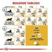Royal Canin Persian Yetişkin Kedi Maması 2 kg thumbnail 6