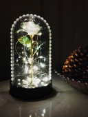 Hediye Sonsuzluk Gülü Ledli Fanus İçerisinde İnci Desenli Özel Tasarım Teraryum Gül - 1