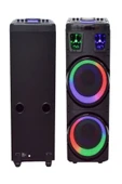 ULTRATEKNO BTS-1708 200W Karaoke Ses Sistemi 2x10 inç RGB Efektli Party Box Mikrofonlu Bluetooth Hoparlör - 6