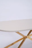 Bohem Metal Boyalı Mdf Lak Panel Yemek Masası 90x170 - 5
