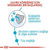 Royal Canin Mini Puppy Yavru Köpek Maması 2 kg - 3