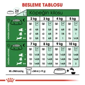 Royal Canin Mini Adult Köpek Maması 2 kg - 4