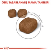 Royal Canin Oral Care Kedi Maması 1,5 Kg thumbnail 2