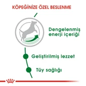 Royal Canin Mini Adult Köpek Maması 2 kg - 6
