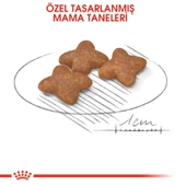 Royal Canin Mini Adult Köpek Maması 2 kg - 3