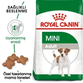 Royal Canin Mini Adult Köpek Maması 4 kg thumbnail 2