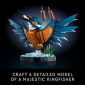 LEGO Icons Yalıçapkını Kuş Modeli Yaratıcı Seti - 3