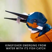 LEGO Icons Yalıçapkını Kuş Modeli Yaratıcı Seti - 4