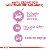 Royal Canin Mother BabyCat  Yavru Kuru Kedi Maması 4 Kg - 5