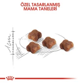 Royal Canin Mother BabyCat  Yavru Kuru Kedi Maması 4 Kg - 3