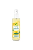 Cire Aseptine Limon Kolonyası 100 ml Sprey - 1
