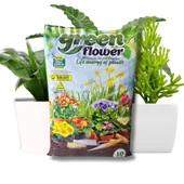 Organik ve Besleyici Saksı Toprağı Torf 10 Litre - 3