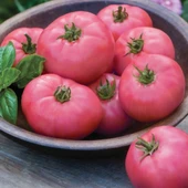 ByKurt Sunagri Pembe Köy Domatesi Tohumu - Açık Tarla İçin Sert Kabuklu Pembe Renkli Lezzetli - 5