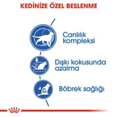 Royal Canin İndoor 7+ Yaşlı Kuru Kedi Maması 1,5 Kg - 5