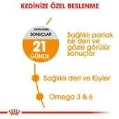 Royal Canin Hair&Skin Hassas Tüylü Kediler İçin Mama 4 kg thumbnail 4