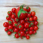ByKurt Sunagri Cherry Domates Tohumu - Parlak Kırmızı Lezzetli Yüksek Verimli Askıya Uygun - 2