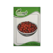 ByKurt Sunagri Cherry Domates Tohumu - Parlak Kırmızı Lezzetli Yüksek Verimli Askıya Uygun - 1