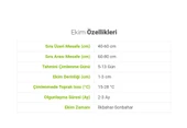 ByKurt Sunagri Cherry Domates Tohumu - Parlak Kırmızı Lezzetli Yüksek Verimli Askıya Uygun - 4