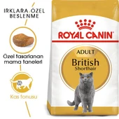 Royal Canin British Shorthair Yetişkin Kedi Maması 10 kg thumbnail 2