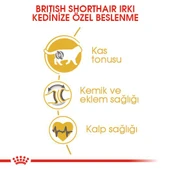 Royal Canin British Shorthair Yetişkin Kedi Maması 10 kg thumbnail 5